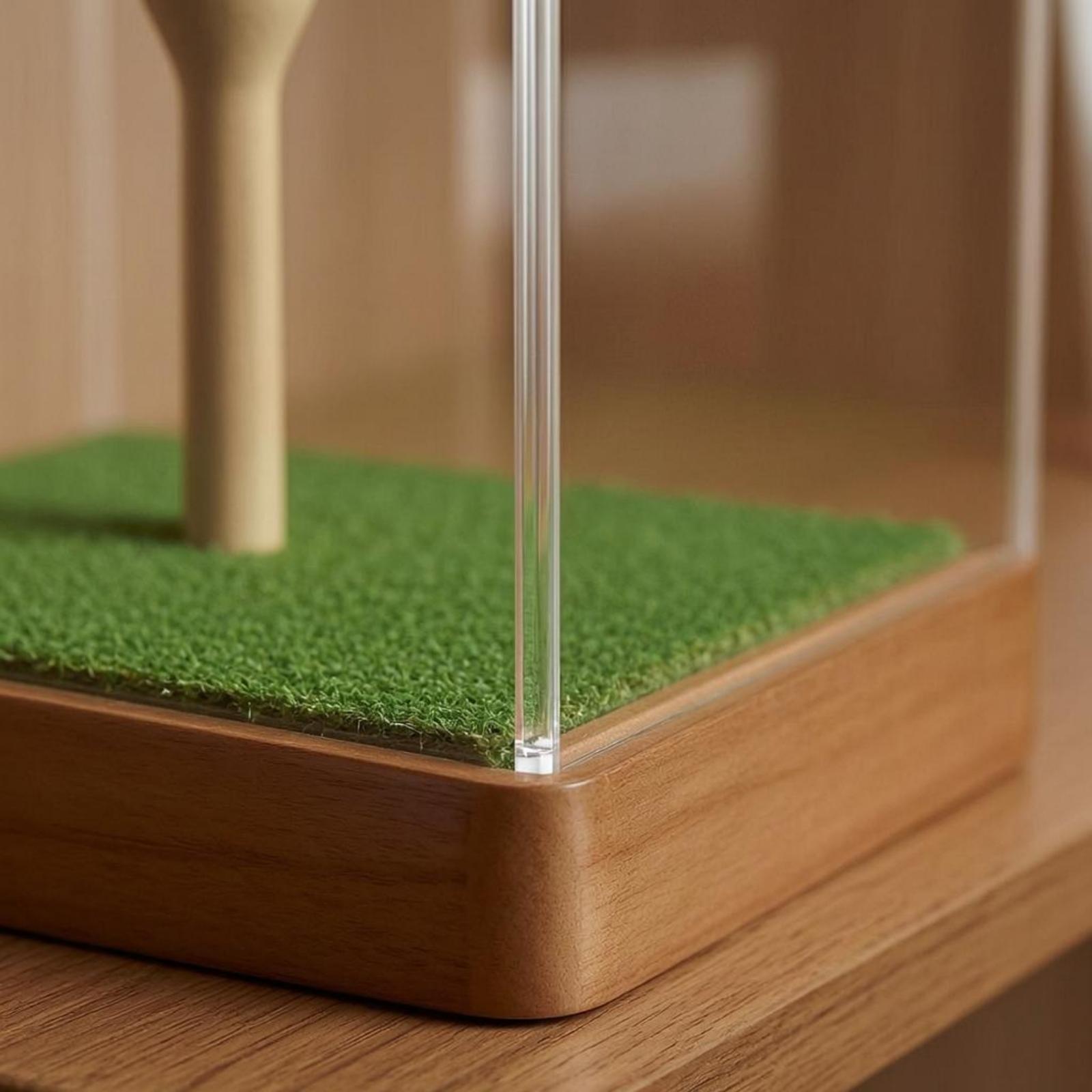 กล่องใส่ลูกกอล์ฟอะคริลิคพร้อมแ - Home Decor Green บทวิจารณ์และราคา